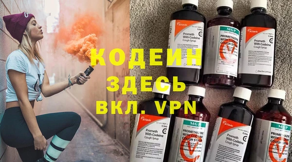 хмурый Аркадак