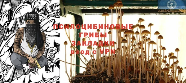 хмурый Аркадак
