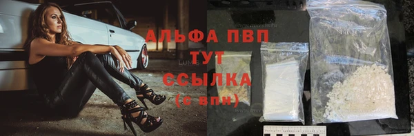 хмурый Аркадак