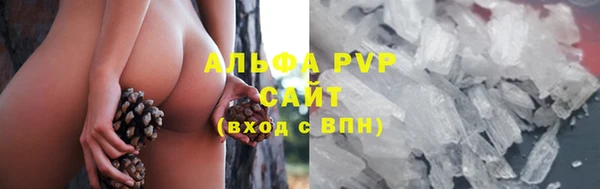 хмурый Аркадак