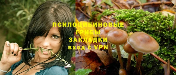 Альфа ПВП Арсеньев