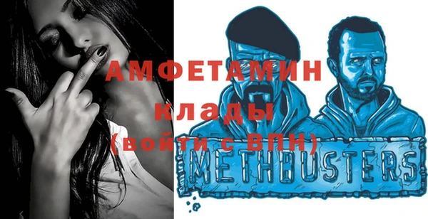 хмурый Аркадак