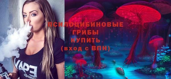 хмурый Аркадак
