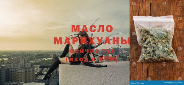 хмурый Аркадак