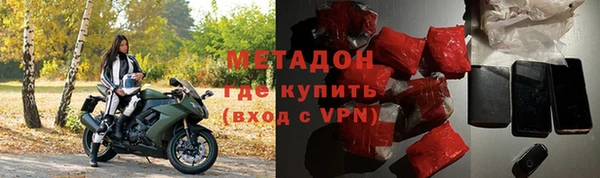 хмурый Аркадак